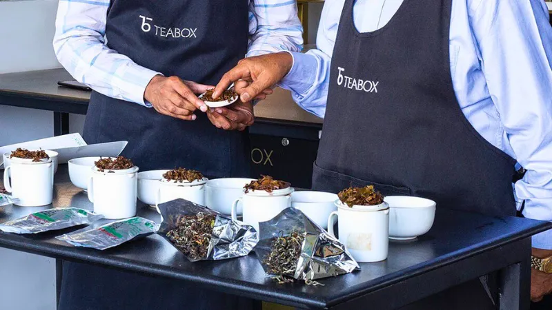 Teabox - Growing Chai Startups in India in 2025 