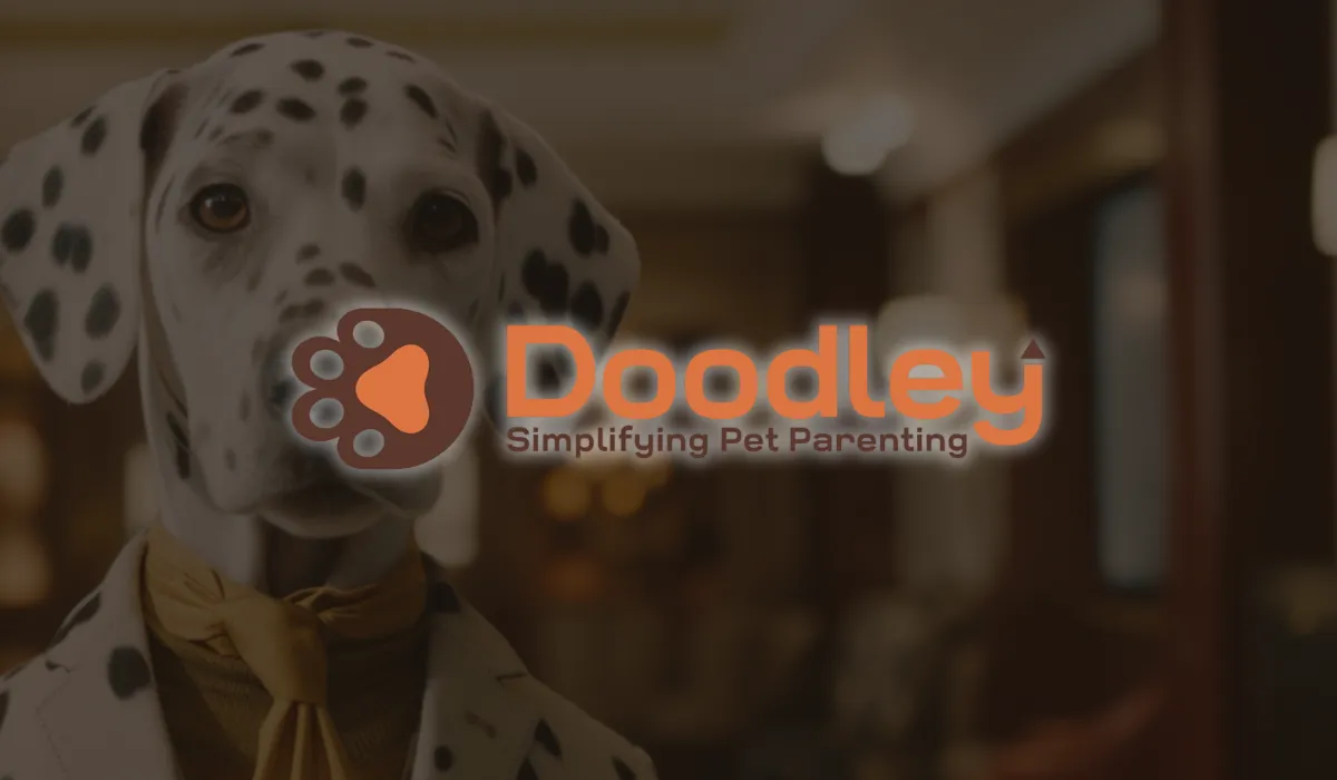 Dr. Doodley Raises Pre-Seed Funding From Campus Fund