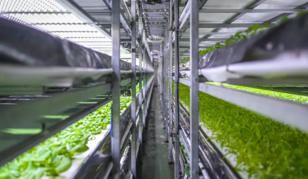 Profitable Future Business Ideas in India for 2025 | Vertical Farming Solutions